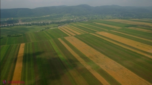 „Bunăvoința” Tiraspolului: Așa-zisele autorități ale Transnistriei anunță că vor permite, până la sfârșitul verii, agricultorilor din raionul Dubăsari să-și prelucreze terenurile de după traseul Tiraspol-Camenca