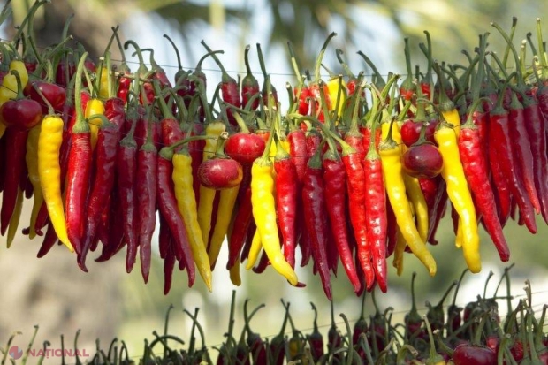 Efectul ULUITOR al ardeiului! Ce se întâmplă dacă îţi dai cu ardei iute pe păr