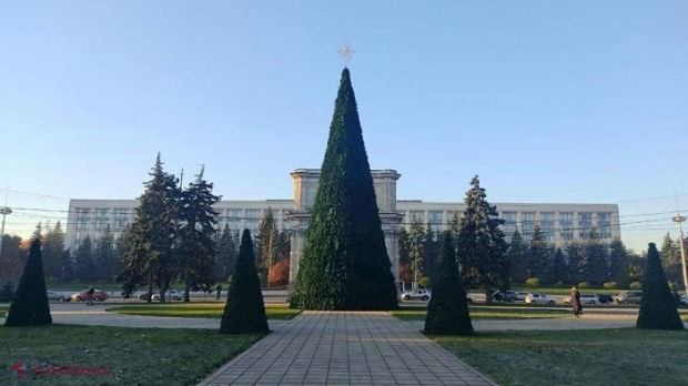 Pomul de Crăciun, INSTALAT deja în Scuarul Catedralei Metropolitane. Sărbători de iarnă fără târguri, doar cu iluminat decorativ: „Va fi DIFERIT față de ceilalți ani”