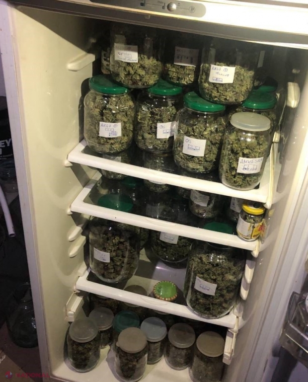 VIDEO, FOTO // Droguri la BORCAN într-un apartament din Chișinău. Polițiștii au ridicat peste 20 de kg de droguri, în valoare de peste 5 000 000 de lei