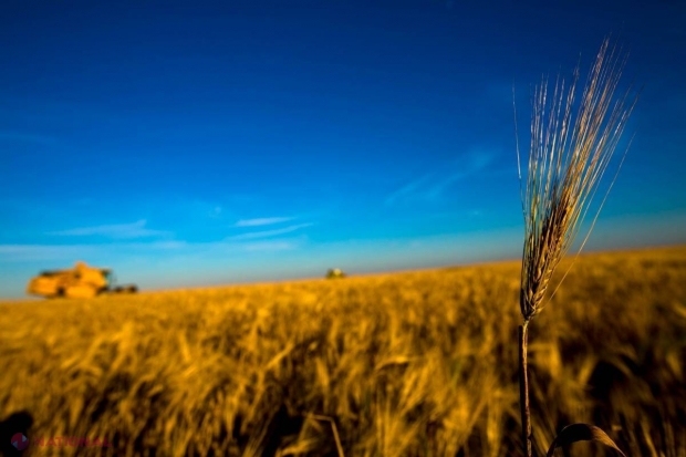 MAIA prevede o creștere de 5% a agriculturii! CÂȚI bani au investit în acest an FERMIERII 