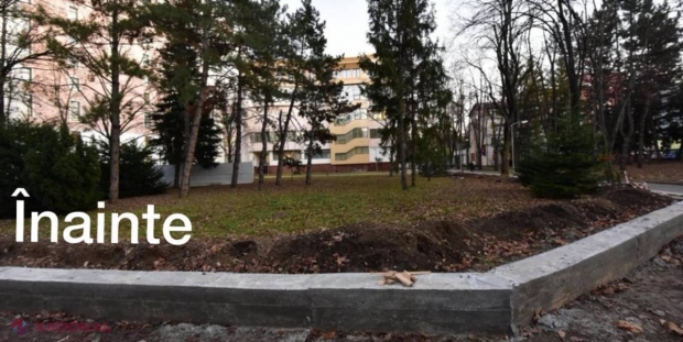 Discuții APRINSE în Parlament între Andrian Candu și Alina Zotea. A intervenit și Mihai Ghimpu. Care a fost mărul discordiei