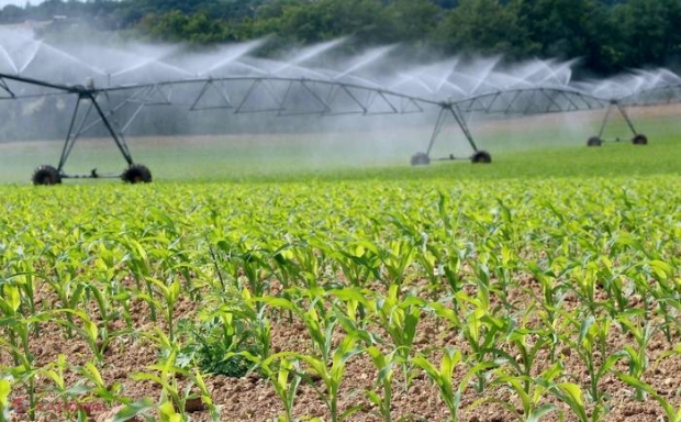 Irigațiile, INTERZISE în R. Moldova. Mai mulți agricultori au fost AMENDAȚI