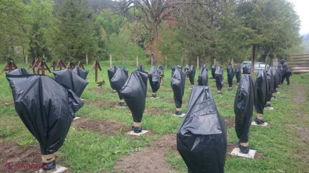 Descoperire TERIFIANTĂ după percheziţiile în Bacău şi Harghita pentru aflarea AUTORILOR profanării crucilor EROILOR români din cimitirul de pe Valea Uzului