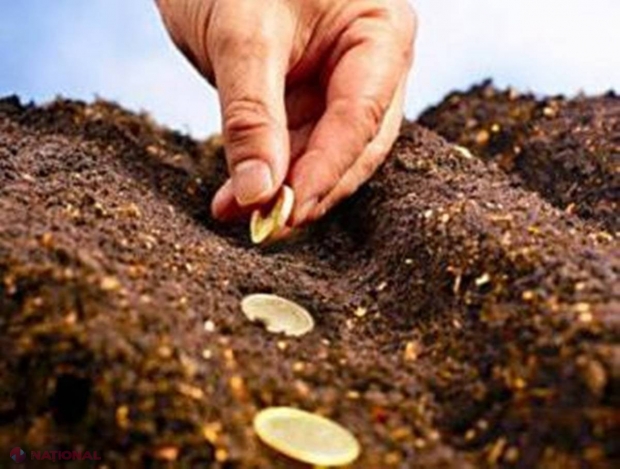 APROBAT // Acces la MILIOANE de dolari pentru tinerii care vor să aibă AFACERI la sate