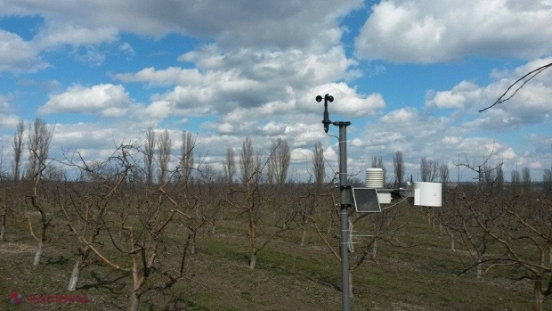 PROGRES // Fermierii pot fi „imuni” la intemperii. Inovația unui tânăr de la Briceni
