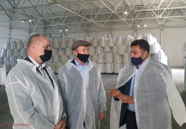 Ce cantitate de sfeclă de ZAHĂR va fi recoltată în acest an în R. Moldova