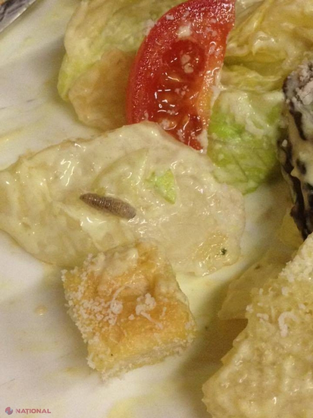 Salată cu VIERMI într-o pizzerie cunoscută din capitală
