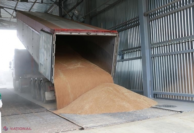 GRÂUL din rezerva de stat ar fi VÂNDUT, după un an de secetă: „Solicit de urgență o Hotărâre de Guvern prin care să se impună restricții temporare la exportul grâului în scopul asigurării securității alimentare a republicii”