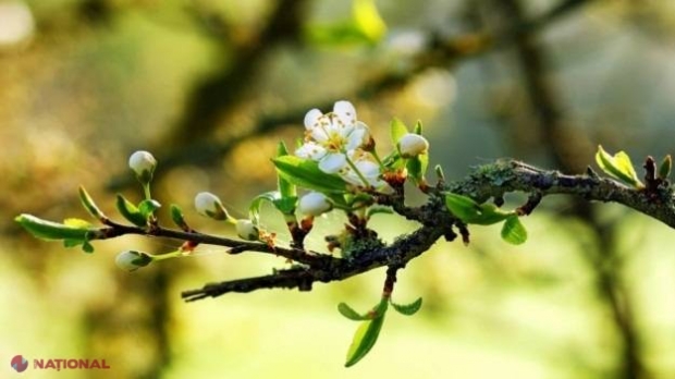 Prognoza METEO pentru lunile martie - mai 2018: Ce temperaturi vom avea primăvara