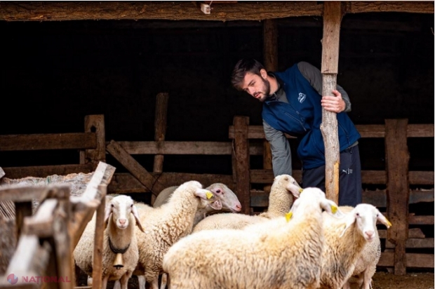 FOTO // Victorin, oierul MODERN de la Borogani: A făcut studiile în România și a revenit acasă pentru a dezvolta o afacere împreună cu tatăl său
