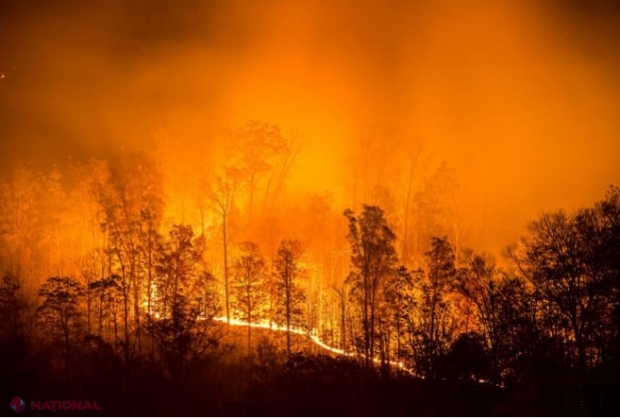 Incendii de PROPORȚII: În 10 ani, Rusia ar putea să NU mai poată exploata forestier Siberia