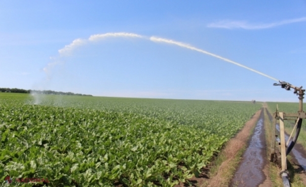 ANUNȚ // R. Moldova: Se caută stăpânii a 1,1 MILIARDE de lei