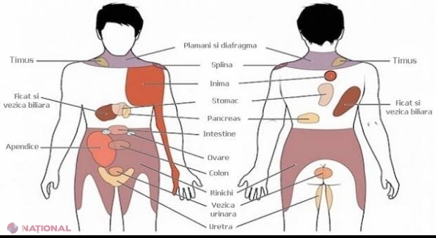 7 dureri pe care nu trebuie să le ignori. Ar putea fi semnalul unor BOLI GRAVE