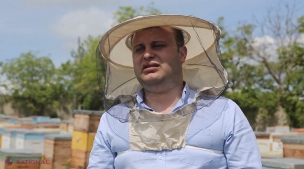 VIDEO SUCCES // Viața poate fi „DULCE” și în R. Moldova: Apicultorul care a exportat 500 de tone de MIERE pe piața UE în 2017