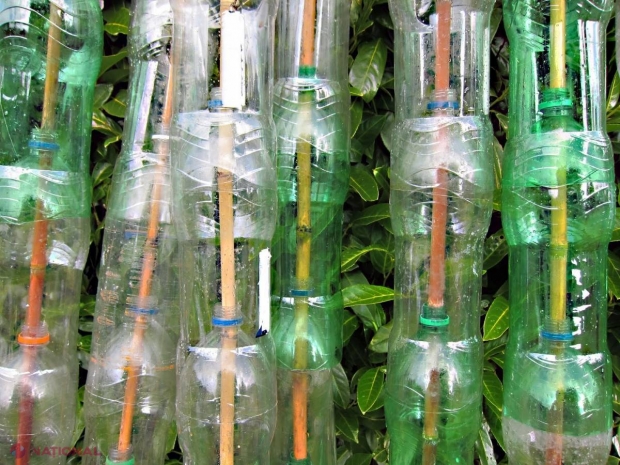 Sera din sticle de plastic – ieftin şi eficient