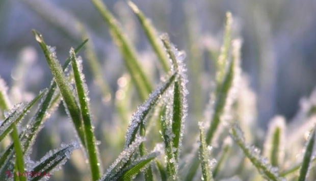 METEO // Cod galben de ÎNGHEȚURI, în R. Moldova