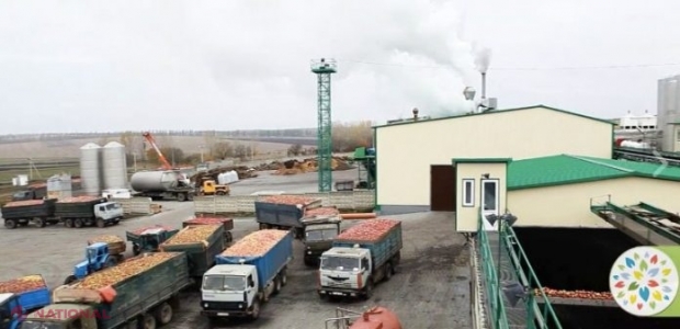 Problemele lui Taras Barşciovschi vor avea repercusiuni asupra fabricii de suc „T.B Fruit” din Edineţ? Acesta ar avea datorii de 75 de MILIOANE de euro