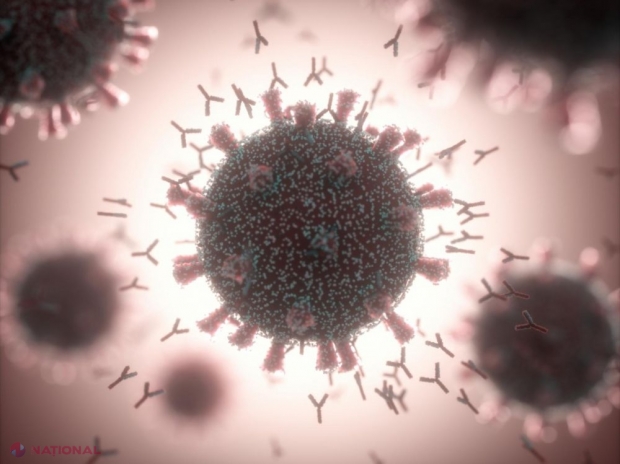 CORONAVIRUS // 830 de cazuri noi de infecție și 30 de morți din cauza COVID-19 în ultima zi