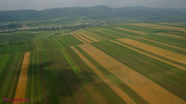  Federația Rusă, OBLIGATĂ să achite aproape 2,5 MILIOANE de euro: DREPTATE după mai bine de zece ani la CtEDO pentru fermierii de la Dubăsari, lăsați fără pământuri de către separatiștii de la Tiraspol