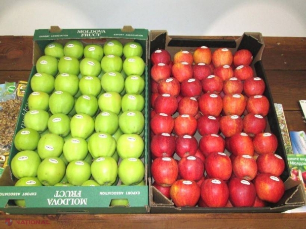 Mere moldovenești, exportate în Bangladesh. S-au vândut în trei zile!