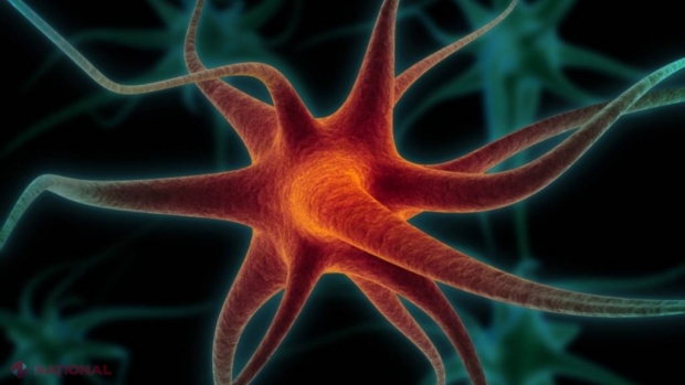 Premieră mondială: DESCOPERIREA care va schimba medicina