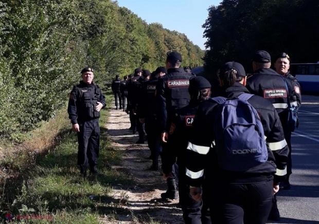 Operațiune de AMPLOARE la Rezina, după uciderea unui mistreț într-un accident rutier: Toată pădurea din zonă, VERIFICATĂ