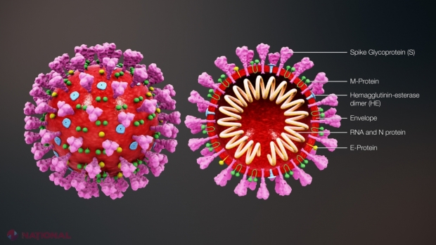 Putem să ne dăm seama dacă am avut CORONAVIRUS? Explicațiile specialiștilor