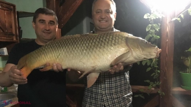 PSRM PIERDE un deputat. Acesta a decis să plece din Parlament