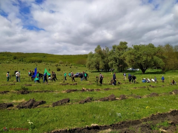 Partidul din R. Moldova care a ales să sărbătorească ALTFEL Ziua Europei: „Moștenire prețioasă pentru generațiile viitoare”