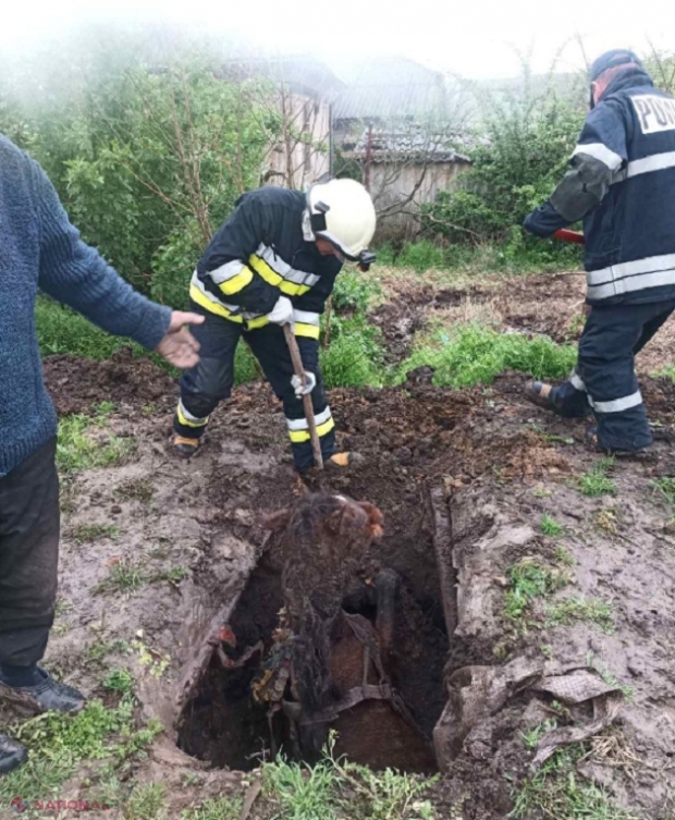 VIDEO // Operațiune mai puțin obișnuită a salvatorilor: Au scos un CAL dintr-o fântână, la Fălești