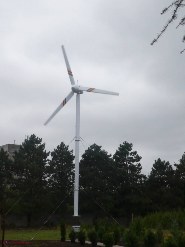 Turbină eoliană în Grădina Botanică!