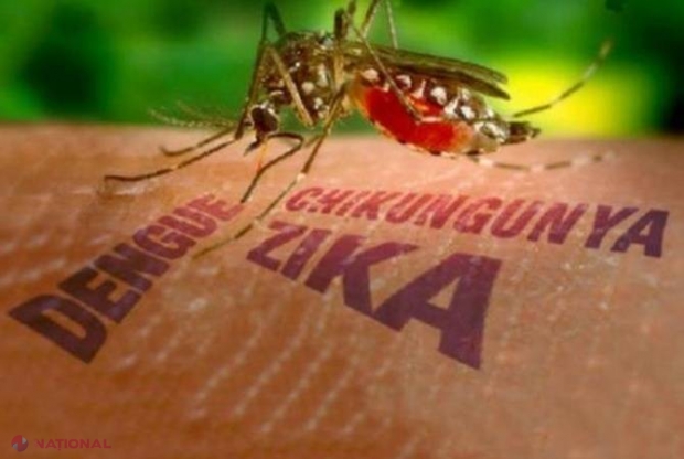 Virusul Zika riscă să se răspândească în numeroase ţări europene, inclusiv în România