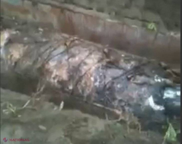Descoperire șocantă la cimitir. Au dezgropat un mort după 15 ani şi au încremenit când au văzut în ce stare e cadavrul 
