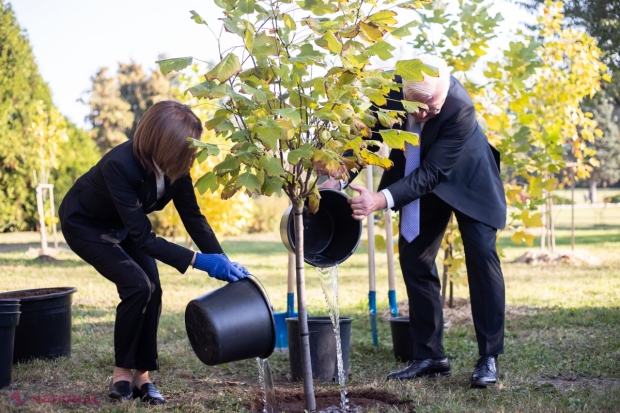 FOTO // Frank-Walter Steinmeier și Maia Sandu au SĂDIT doi copaci în Grădina Botanică. De ce a fost ales anume arborele de lalea
