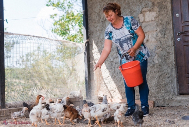 A lăsat bătrânii din Italia pentru puii din R. Moldova: Povestea Mariei Caraman de la Condrătești