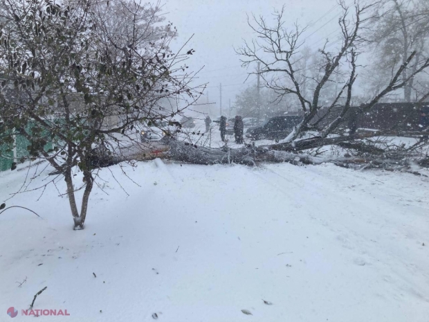 Ministerul Educației și Cercetării recomandă autorităților publice locale să examineze posibilitatea SUSPENDĂRII procesului educațional din cauza condițiilor meteorologice dificile