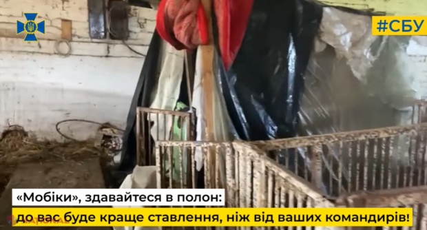 VIDEO // Soldații lui Putin și-au amenajat centrul de COMANDĂ într-o COCINĂ cu porci din regiunea Herson. Reprezentanții SBU au izbucnit în râs când au văzut „dormitoarele” rușilor