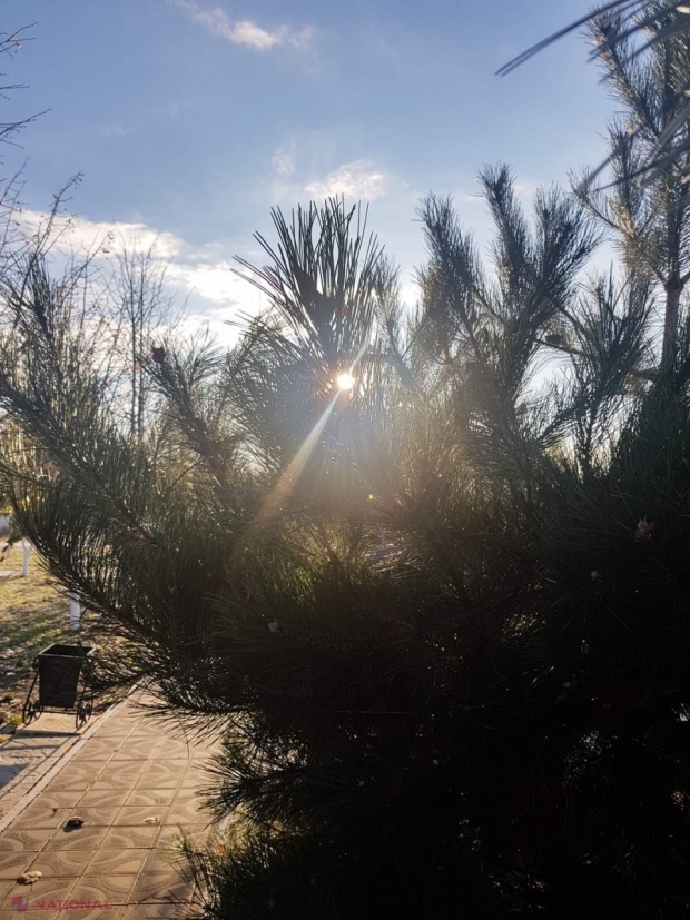 METEO // Ninsori, ploi și maxime de până la plus 15 grade Celsius, de Crăciunul pe stil nou