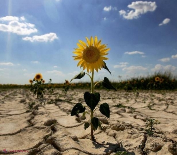 Regulament APROBAT: Agricultorii vor putea depune cereri la AIPA pentru a beneficia de motorina oferită GRATUIT de către România. „Aduc sincere mulțumiri Guvernului României pentru gestul mărinimos de a ne acorda 6 000 de tone de motorină ca ajutor”