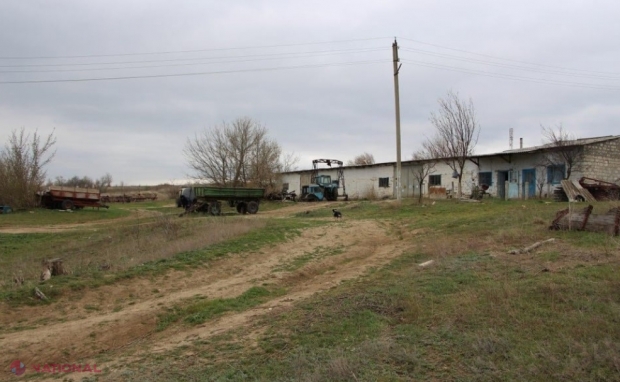 Ceadâr-Lunga: Un paznic, bătut groaznic pentru un tractor, furat și abandonat la scurt timp
