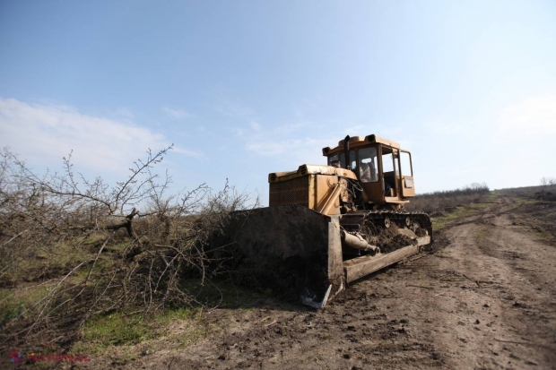 Agricultorii sunt SUPĂRAȚI: De când autoritățile promit achitarea subvențiilor, leul s-a DEPRECIAT cu 35%