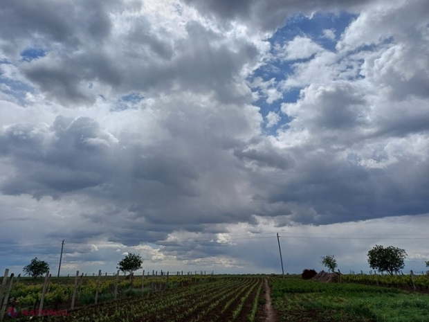 METEO // Cod galben de ploi și vânt puternic în R. Moldova: Cum va fi vremea în iunie