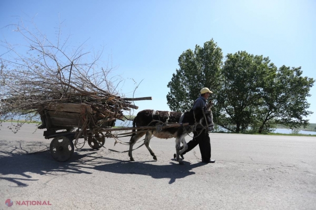 Căruțașii, cu „permis de conducere”