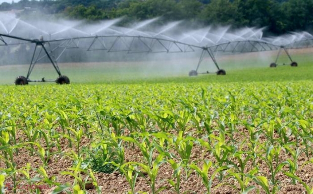 Câteva sisteme de irigare din R. Moldova vor fi reabilitate cu bani americani
