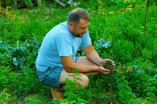 Vrei să INVESTEȘTI în pământ? Mai întâi trebuie să faci acest lucru neapărat!