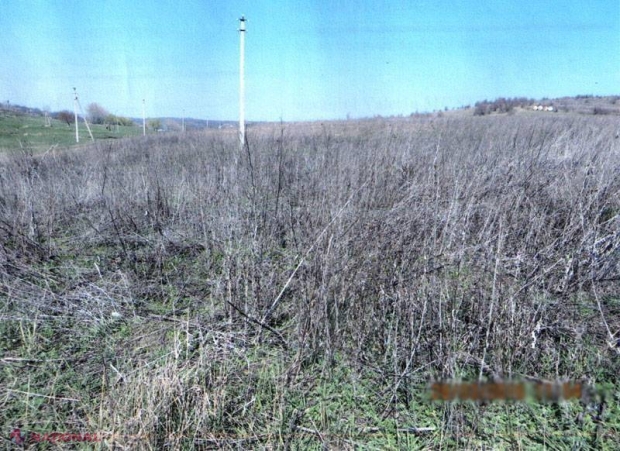 Noi DELAPIDĂRI depistate la Ministerul Mediului. SIS a atenționat