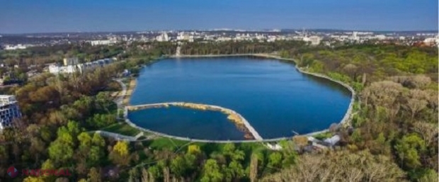 ANALIZĂ // Apa din lacul „Valea Morilor” este POLUATĂ: Algele omoară peștii