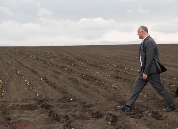 Dodon REVINE în politică? După ce „Uniunea de afaceri moldo-rusă” a MURIT din fașă din cauza RĂZBOIULUI declanșat de Putin, socialistul vine cu critici ZILNICE la adresa guvernării. Acesta îi trimite pe guvernanți de URGENȚĂ la Moscova