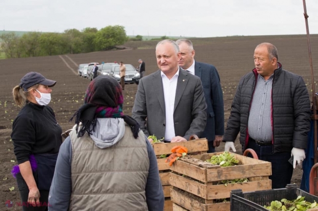 FOTO // Dodon a intrat cu „Mercedesul” până în inima unui câmp PROASPĂT ARAT, pentru ca să nu-și murdărească pantofii